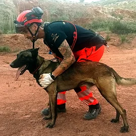 LOBO K9 SAR