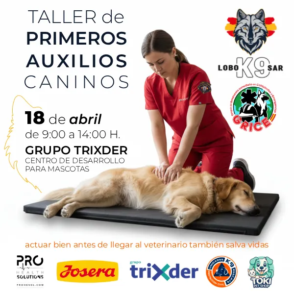 Taller Primeros Auxilios Caninos. LOBO K9 SAR